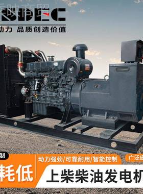 SDC上柴LHGF-160股份180kw柴油发电g机r组1E60~200KW千瓦开架enea