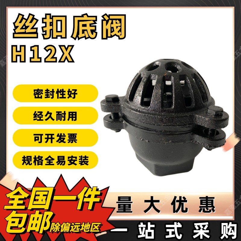 H12X底阀 水泵底阀 铸铁内螺纹丝扣底阀 DN25 32 40 50 65 80