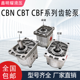 F304 齿轮油泵 20MPa CBN F310剪板机拖拉机升降台 F306