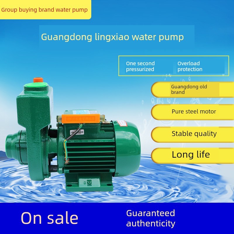 广东凌霄1ZB35/45/65,1.5DK/ZDK-20 2DK/ZDK-16/20/T自吸清水泵