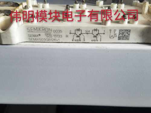 SEMIX703GB126V1 SEMIX353GB126V1 SEMIX503GB126V SEMIX854GB176