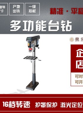 台钻工业级家用钻床多功能台钻配件木工台钻woodfast沃富特DP430A