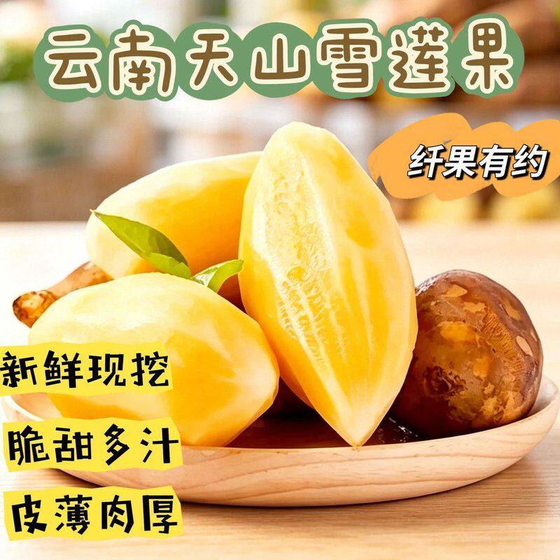 【发彩箱长果】正宗云南天山雪莲果碱性清甜当季水果现挖现发