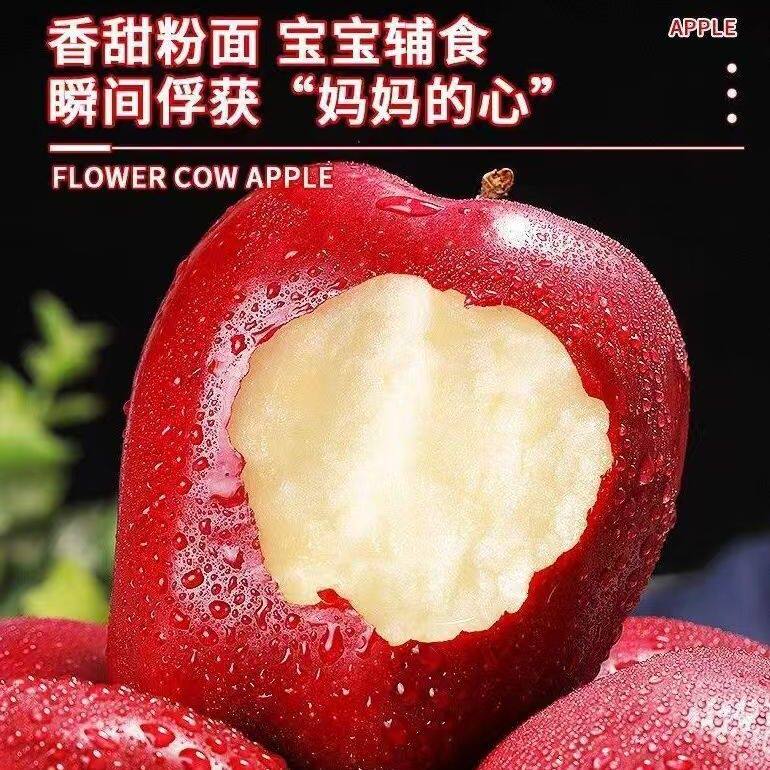 现摘现发甘肃天水新鲜花牛苹果坏果包赔脆粉两吃9