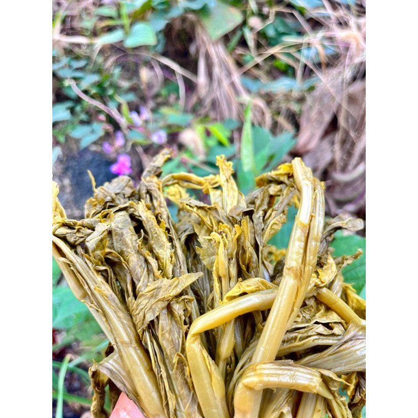 贵州高山新鲜青菜苔冲菜冲鼻子菜辣菜腊菜新鲜蔬菜