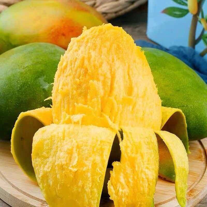 d 放软食用 凯特芒 芒果 攀枝花昆明双仓发货 坏果包赔