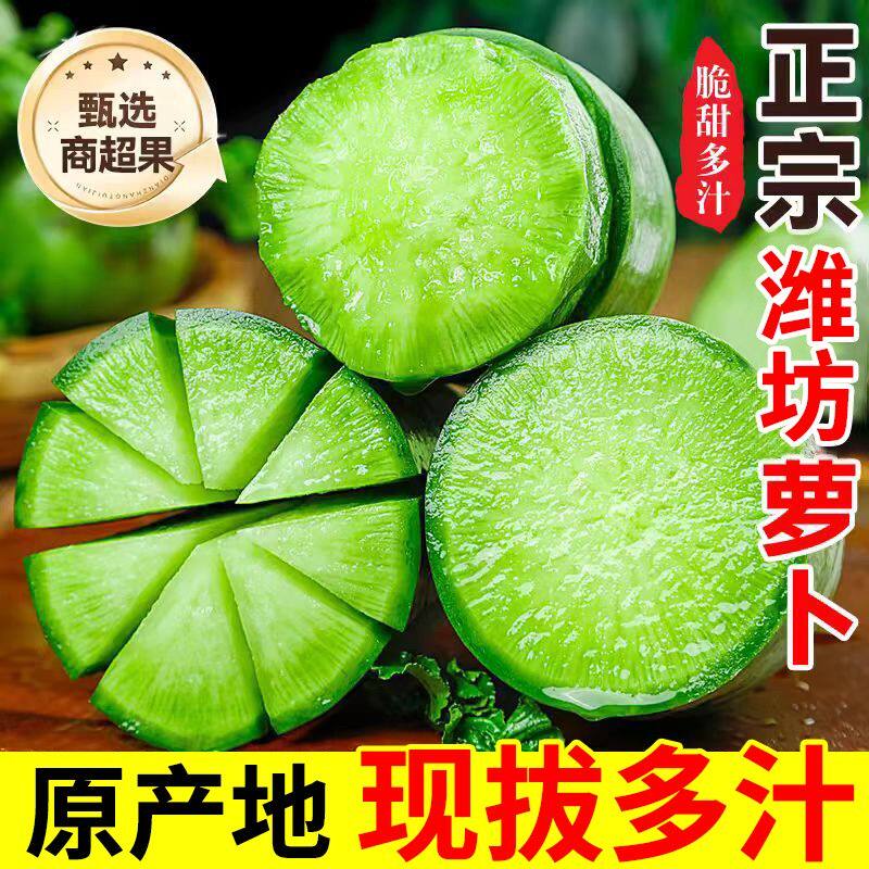 现拔现发潍坊水果萝卜生吃脆甜微辣农产品青萝卜包邮