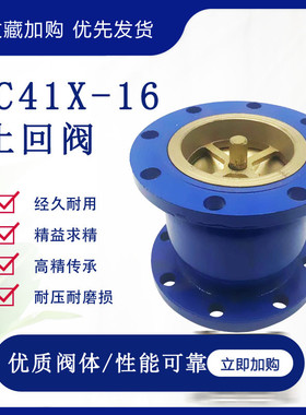 HC41X-16法兰消声止回阀 单向逆止阀DN40 50 65 80 100 150 200