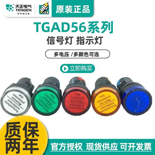 TENGEN天正 TGAD56-22D/S指示灯信号警示灯黄绿白蓝红220V 22孔
