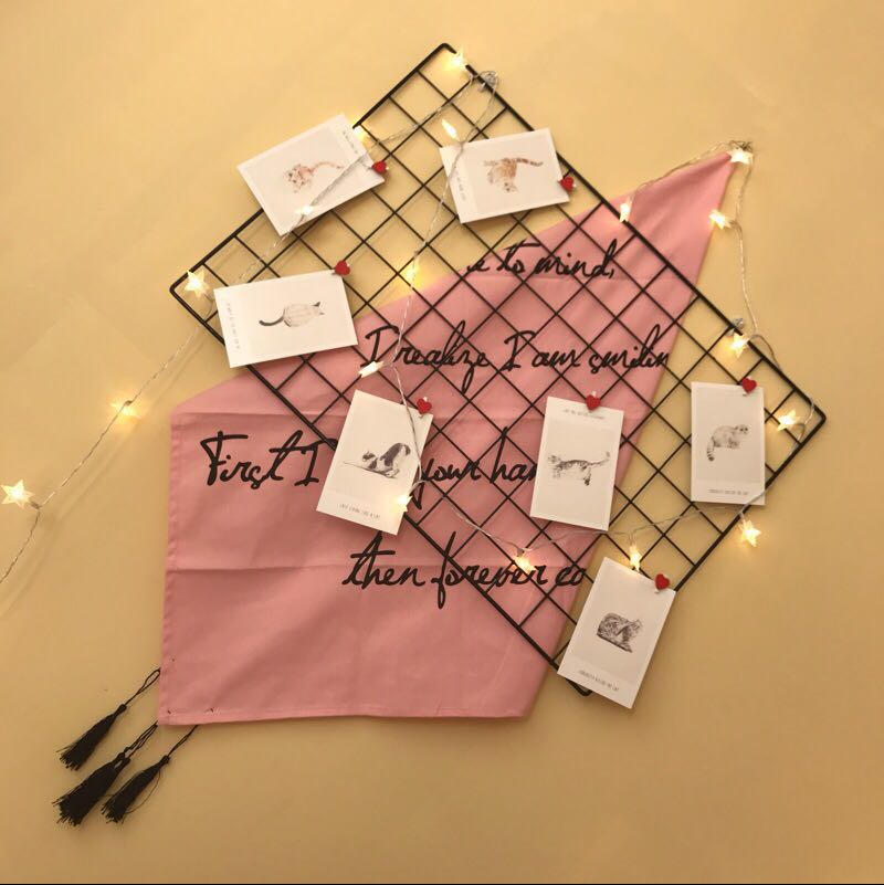 速发小清新铁艺网格照片墙背景置物架网片铁架金属铁网格网铁丝展