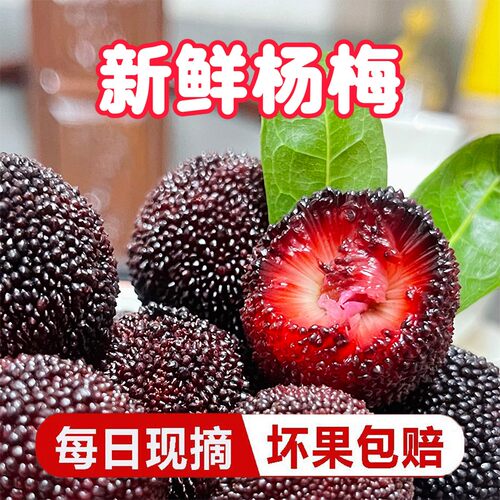 新鲜杨梅   ，冷链空运，果农直发