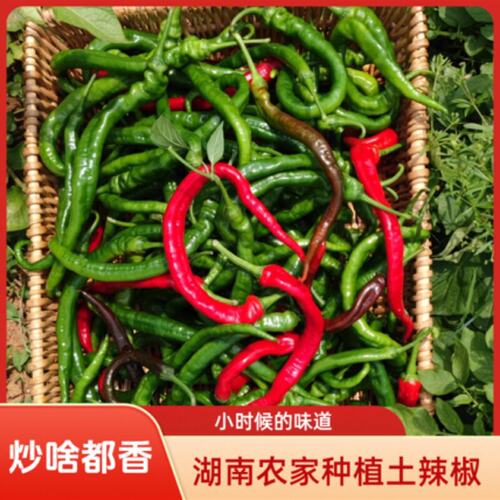 (中辣）湘西老品种土辣椒红辣椒新鲜薄皮软皮现摘现发