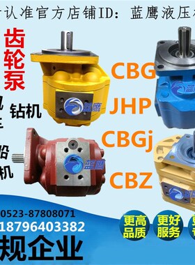 CBG2063 2080 2100 2040 2050高液压齿轮泵CMG CBZ JHP CBGj b1r
