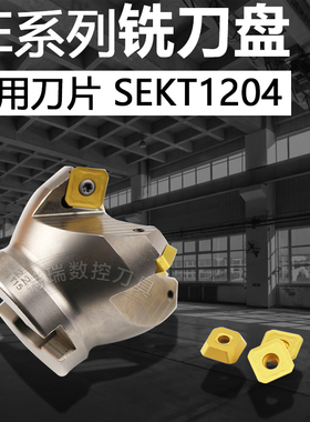 数控铣刀盘45面铣刀片刀柄SE12 050/63/80/100/125/160T4粗精铣