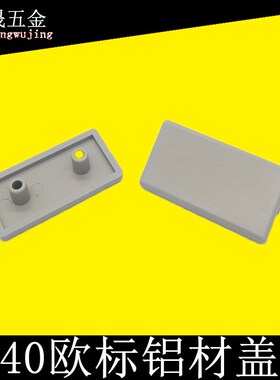 欧标铝材封盖配件2040灰色端盖板塑料欧标工业铝型材装饰堵头