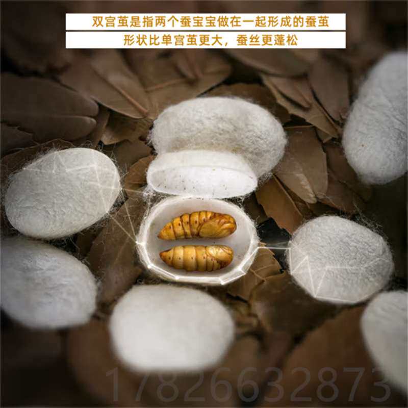 蚕丝光胎半成品裸胎 桑蚕丝订制 手工黄金柞蚕丝光胎被芯厂家