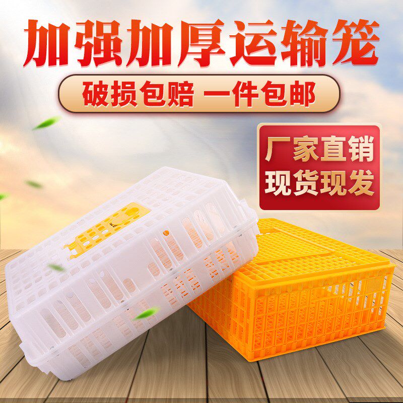 鸡笼塑料周转箱成鸡鸭鹅运输筐加厚大码鸡笼鸡鸭鹅鸽笼周转赵之孙