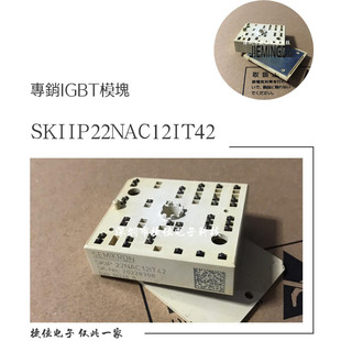 SKIIP22NAC12IT42 SKIIP22NAB12T45 SKKIP23NAB126V1 24NAB126V1