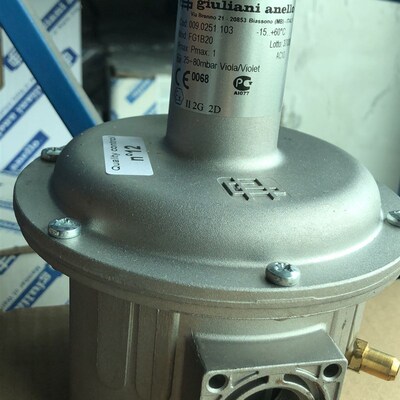 意大贵龙减压阀FG1B20减压阀FG1B15.FG1B25