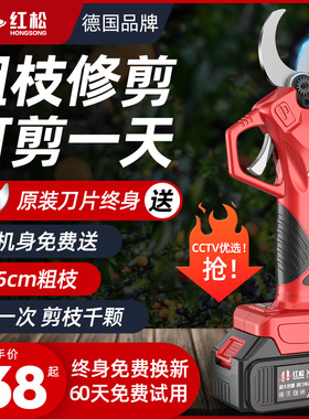 电动剪枝剪充电式锂电修枝剪果树枝修剪专用剪刀园艺剪无线粗枝剪