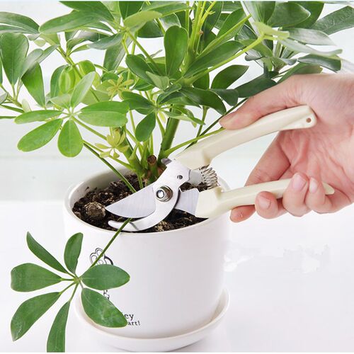 修剪树枝剪刀园林园艺工具多功能家用粗枝果树省力植物修枝修花剪