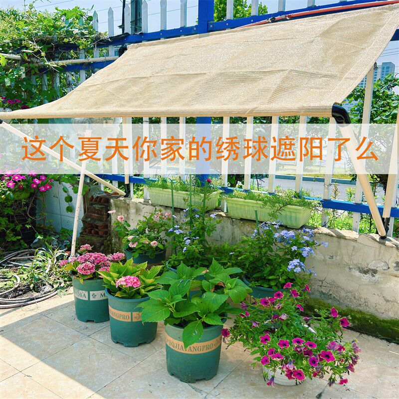 遮阳网可折叠阳台庭院多t肉加密加厚楼顶遮阴花卉防水防晒网定制
