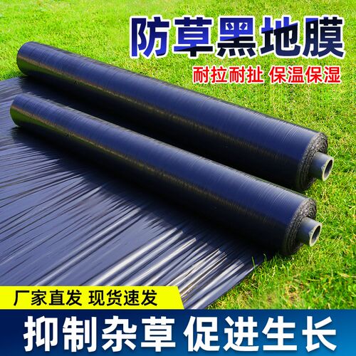 黑色地膜薄膜农用种植除草塑料膜除湿种植大蒜P专用辣椒果园果树