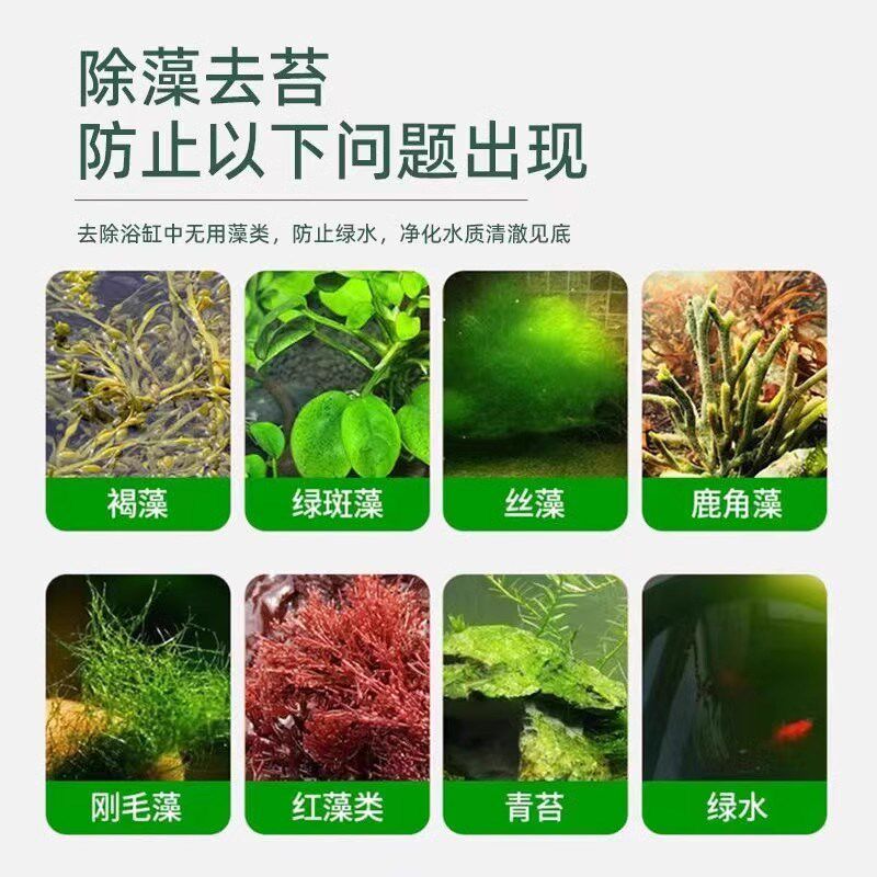 【下单立减30 不伤鱼不伤草】Y鱼缸除藻剂绿藻褐藻丝藻黑毛藻