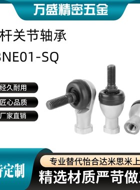BNE01-SQ 5 6 8 10 12 14 16 18 20 RS-R  弯杆型关节轴承