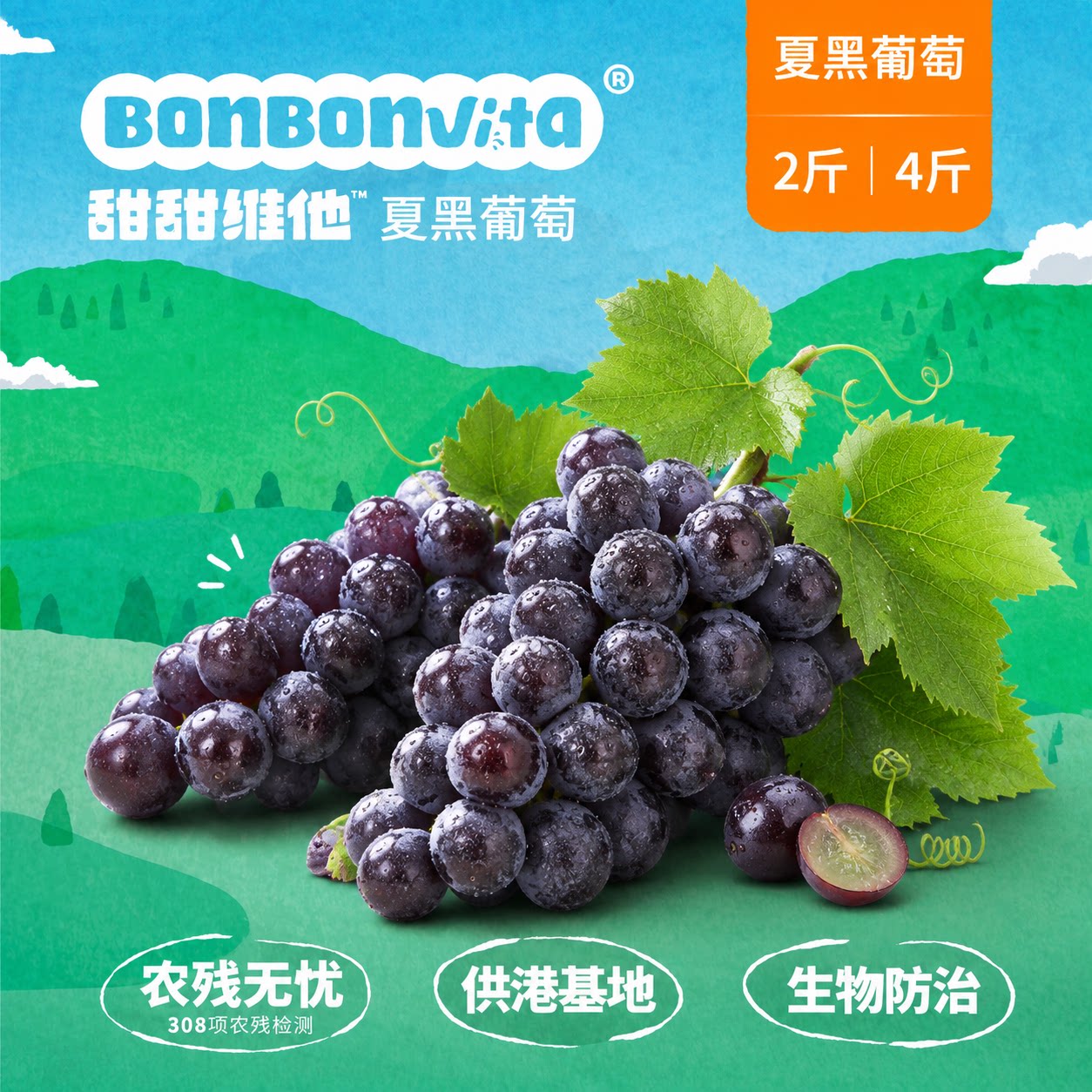 BonBonVita【夏黑葡萄】甜甜维他新鲜无籽葡萄 酸甜爆汁