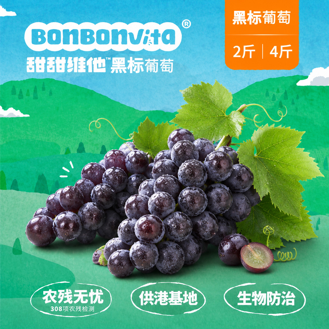 BonBonVita【黑珍珠葡萄】甜甜维他 蓝莓夏黑葡萄 无籽 酸甜爆汁