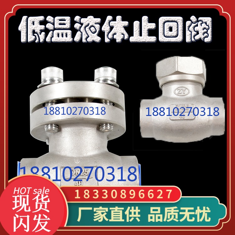 DH61F-40P低温升降式止回阀 不锈钢单向阀 液氧液氮天然气止回阀