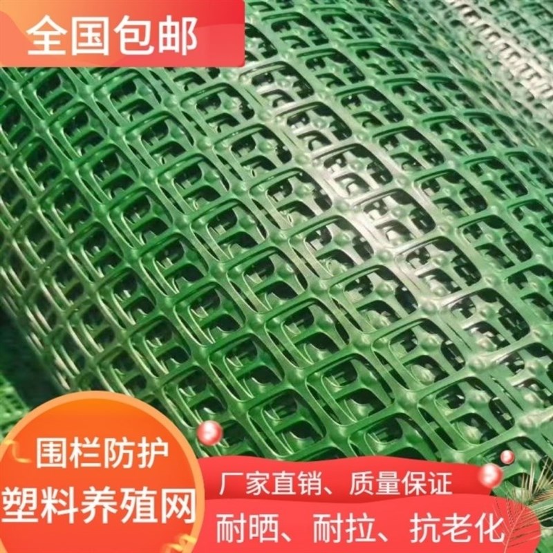 塑料网格养殖网土工格o栅果园鱼塘防护网圈地网漏粪网养鸡鸭围栏