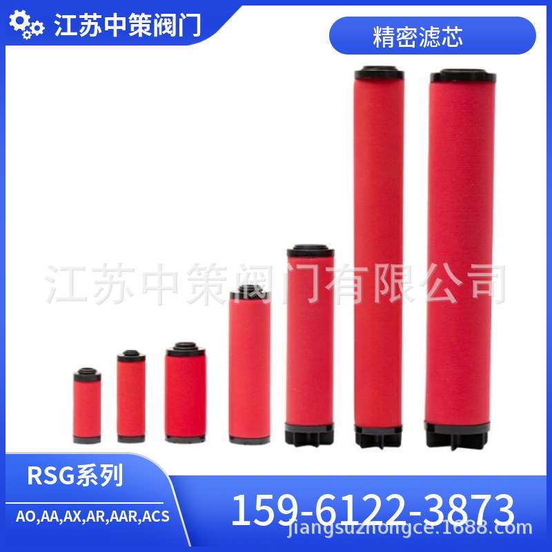 RSG-L145 L220 L330PF AA AO ACS AX AAR AR/V2日盛精密过滤滤芯