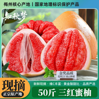 约9886人推荐/特级大果三红蜜柚