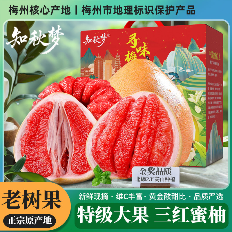 【知秋梦】梅州三红蜜柚大果礼盒红肉红心柚子中秋送礼当季正新鲜