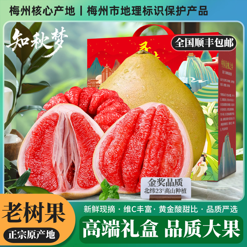 梅州正宗三红肉蜜柚子红心带箱1柚子