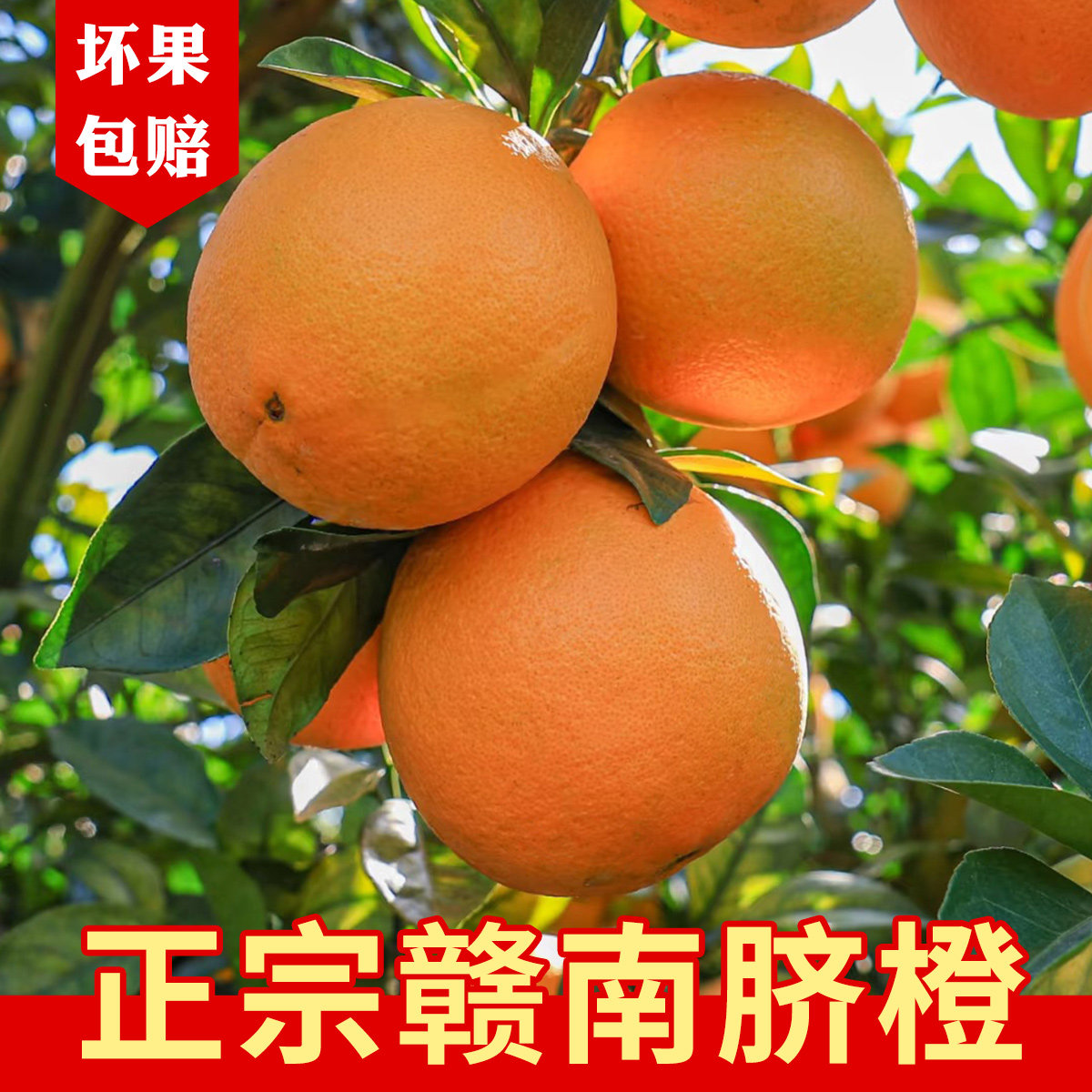 【产地直发】正宗赣南脐橙江西甜橙子大果整箱当季孕妇新鲜水果