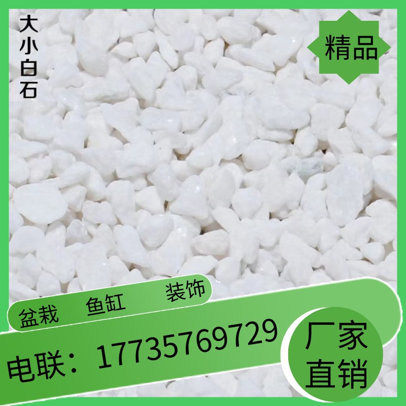 福建白色小石头雨花石子水培园艺装饰铺面庭院多肉天然鹅卵石