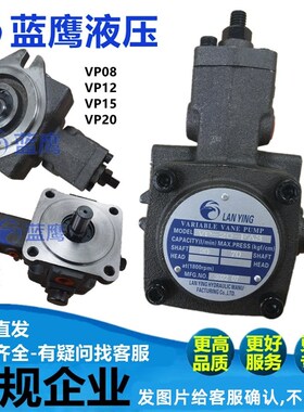 变量叶片泵VP-20 15 12 VB1-08 40 30 -FA3 -FA2 -FA1液压油泵SF