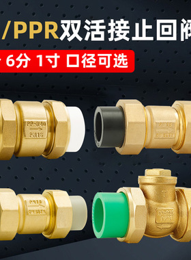 25ppr止回阀止逆阀热熔水管表配件32活接4 6分PE40卧立式逆止阀50