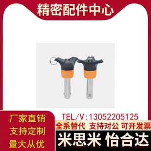 L30 L60 d12 L50 L40 L35 L25 L20 d16 d10 ZAA05球头锁紧插销