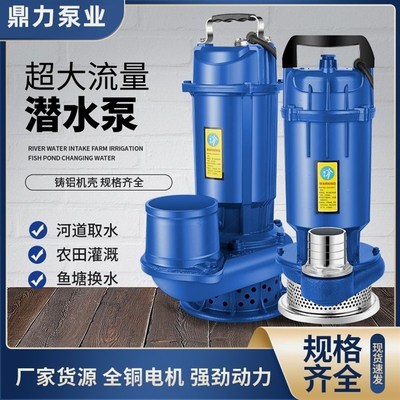 德国进口潜水泵220V家用清水泵380V农用灌溉泵3寸4寸大流量高扬程