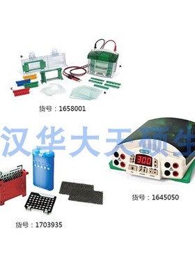 Bio-Rad伯乐Mini-PROTEAN Tetra小型垂直电泳套装1658033原装进口