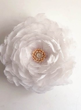 北极光。ins白色羽毛墙饰玄关装饰画卧室客厅沙发背景墙民宿装饰