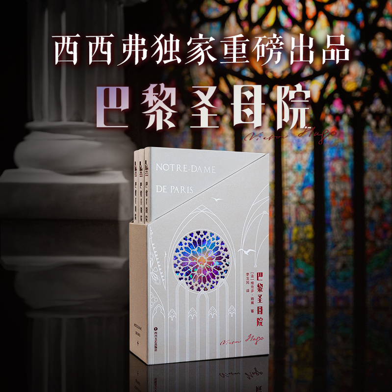 巴黎圣母院定制版雨果经典名著