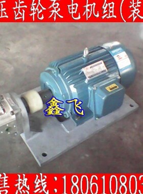 CBT-F316液压油泵CBN-G316齿轮油泵CBJ-E316 FEL2高压泵FER2