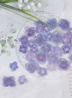重瓣绣球干花压花pressed flowers滴胶手工DIY相框香薰美妆材料包