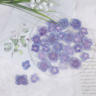 重瓣绣球干花压花pressed flowers滴胶手工DIY相框香薰美妆材料包