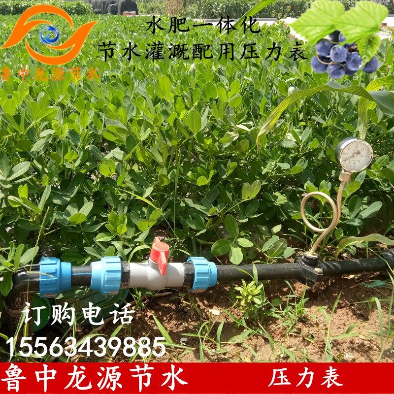 压力表PE管PVC管配用真空表果树大棚微喷滴灌自动灌溉设备水压表